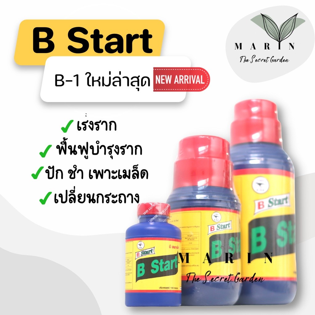B-start B1 B-1 น้ำยาเร่งราก ฮอร์โมน เร่งราก เเคคตัส กระบองเพชร ต้นไม้ทุกชนิด