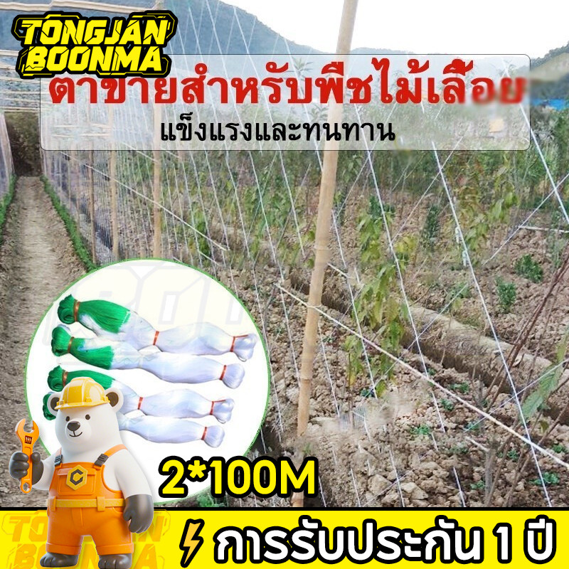 ⚡TBA างปลูกผัก ค้างผัก 2*100m ตาข่ายปลูกผัก โครงไม้เลื้อย ค้างไม้เลื้อย ตะข่ายไนลอน ต้นไม้เลื้อย อวนแตง ตาข่ายปลูกแตงกวา