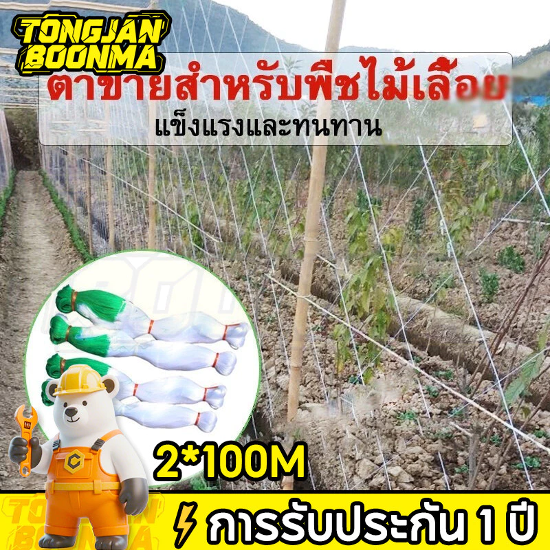 ⚡TBA างปลูกผัก ค้างผัก 2*100m ตาข่ายปลูกผัก โครงไม้เลื้อย ค้างไม้เลื้อย ตะข่ายไนลอน ต้นไม้เลื้อย อวนแตง ตาข่ายปลูกแตงกวา