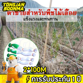 ⚡TBA างปลูกผัก ค้างผัก 2*100m ตาข่ายปลูกผัก โครงไม้เลื้อย ค้างไม้เลื้อย ตะข่ายไนลอน ต้นไม้เลื้อย อวนแตง ตาข่ายปลูกแตงกวา