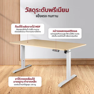 Fennix โต๊ะปรับระดับไฟฟ้า Ergonomic Desk | โต๊ะทำงานเพื่อสุขภาพ ปรับสูง-ต่ำได้ | รับประกัน 3 ปี