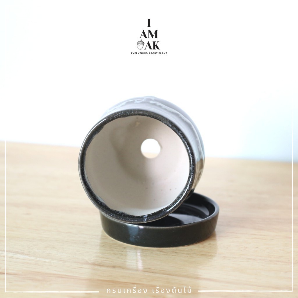 มุมมอง 3