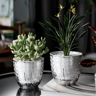 กระถาง​แบบใส กระถางต้นไม้ไฮโดรโปนิกส์ อัตโนมัติน้ํา สก์ท็อปก Mini Succulent Planter แจกันตั้งโต๊ะ ไม่ต้องรดน้ำเอง