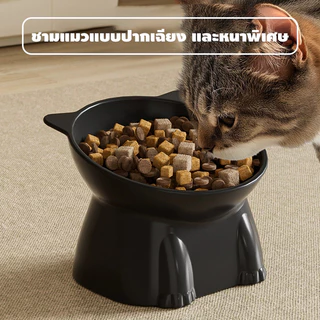 ชามอาหารสัตว์เลี้ยง ชามอาหารแมว มีชามส ทรงยกสูง ปากเอียง 15 องศา ชามอาหารสัตว์ ถ้วยอาหารแมว ที่ใส่อาหารแมว ชามกันมด