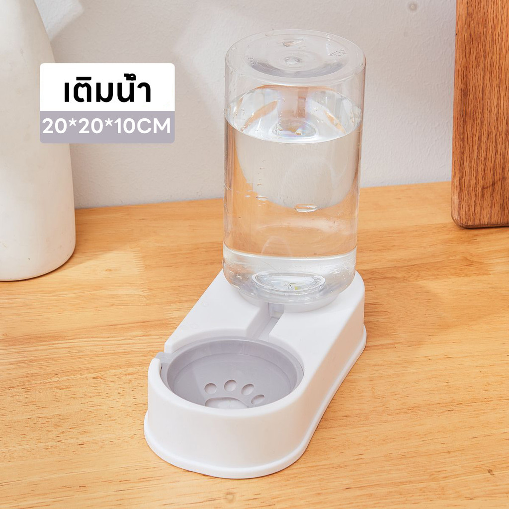 รูปภาพ 7