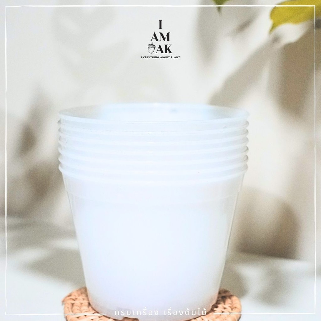 มุมมอง 2