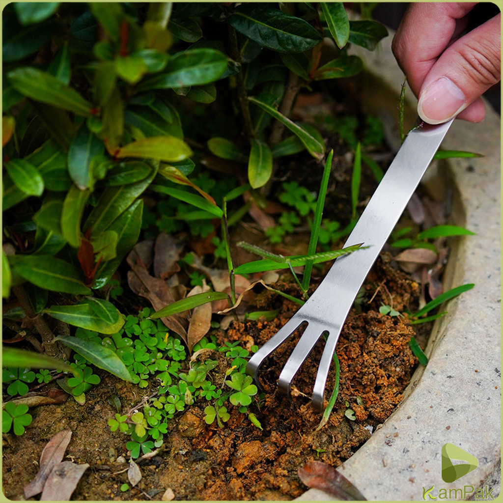 KamPak คราดน้อยสแตนเลส 20cm คราดพรวนดิน ที่สางราก  อุปกรณ์ทำสวนย่อม Stainless Steel Rake