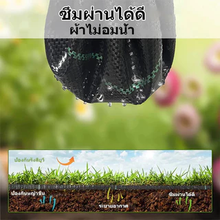 COD พลาสติกคลุมดิน ผ้าคลุมหญ้า พลาสติกคลุมวัชพืช (หนาขึ้น) กำจัดวัชพืช ผ้าคลุมวัชพืช พลาสติกเกรดส่งออก ผสมUV ฆ่าหญ้า