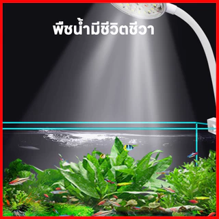 🎉【พร้อมส่งถูกที่สุด】โคมไฟตู้ปลา LED USB แคลมป์ไฟตู้ปลา ไฟตู้ปลา พิพิธภัณฑ์สัตว์น้ำ ไฟ Aquarium Light
