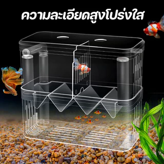 กล่องแยกปลา ตู้แยกปลาคลอดลูก กล่องแยกสำหรับถังปลา แยกได้ 2 ช่อง มี 2ขนาด และแยกปลาที่กำลังป่วย สีใส