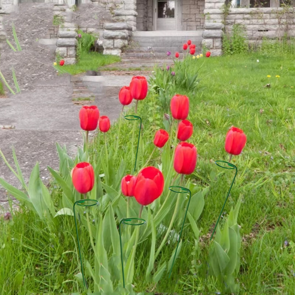 กรอบรองรับพืชกลางแจ้ง | ไม้ตีดอกไม้เคลือบเหล็กสําหรับสวนกุหลาบ/ดอกโบตั๋น/ลี่, ขาตั้งพืชสีเขียวพร้อมเคลือบพลาสติก 10/30/50หีบห่อ - รูปที่ 3