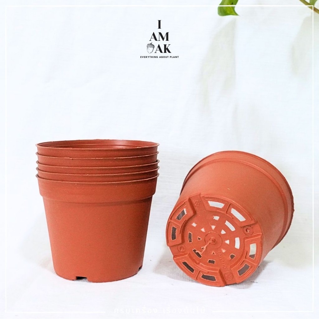 มุมมอง 3