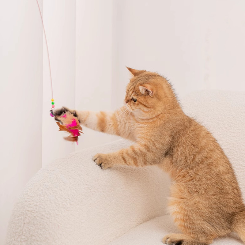ของเล่นแมว ไม้แกล้งแมว ไม่หลุดง่าย มีกระดิ่ง เปลี่ยนขนได้ ล่อแมว ของเล่นแมว ของเล่นด้ามยาว เชือกแมว ไม้แกล้งแมว - รูปที่ 5
