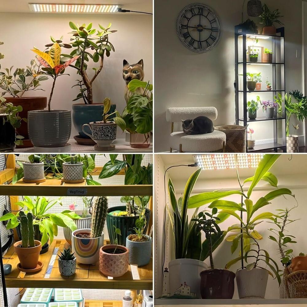 ยอดเยี่ยม ไฟปลูกต้นไม้,10ระดับหรี่แสงได้3โหมดแสง นํา เต็มสเปกตรัมเติบโตไฟ,คุณภาพสูงติดตั้งง่าย24ชั่วโมงวงจรจับเวลาภายใต้ตู้เติบโตโคมไ - รูปที่ 5