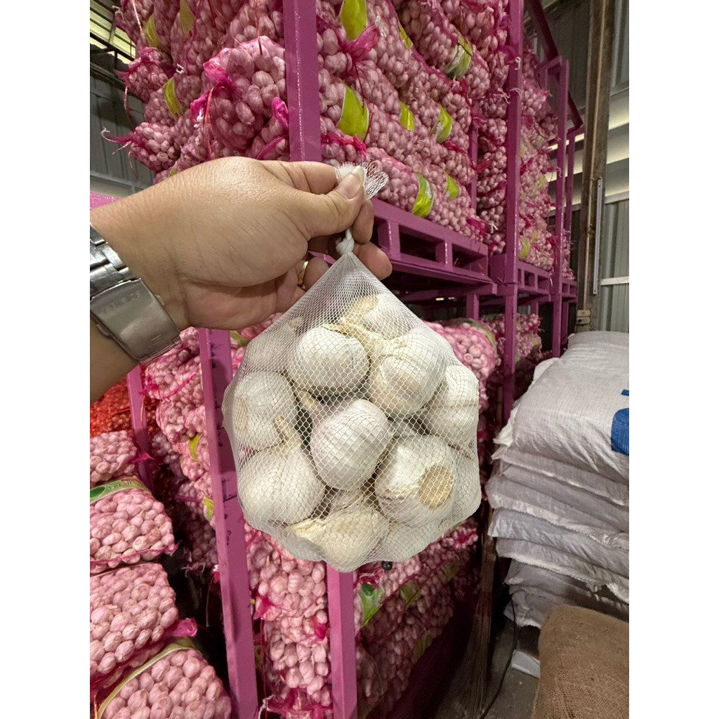 [1kg] 🧄 กระเทียมจีน หัวใหญ่ เครื่องเทศ กระเทียมเกรท A กระเทียมคัดสวย ขนาด 5.0 cm คัดสวย สะอาด ไม่ฝ่อ 🧄