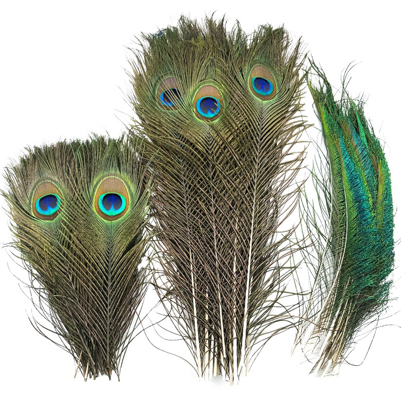 10 ชิ้น/ล็อตธรรมชาติจริงนกยูง Feathers สําหรับตกแต่งขายส่งหมวกแจกัน DIY ยาวขนาดใหญ่ Plumes Feather Decor แจกันงานแต่งงานอุปกรณ์เสริม