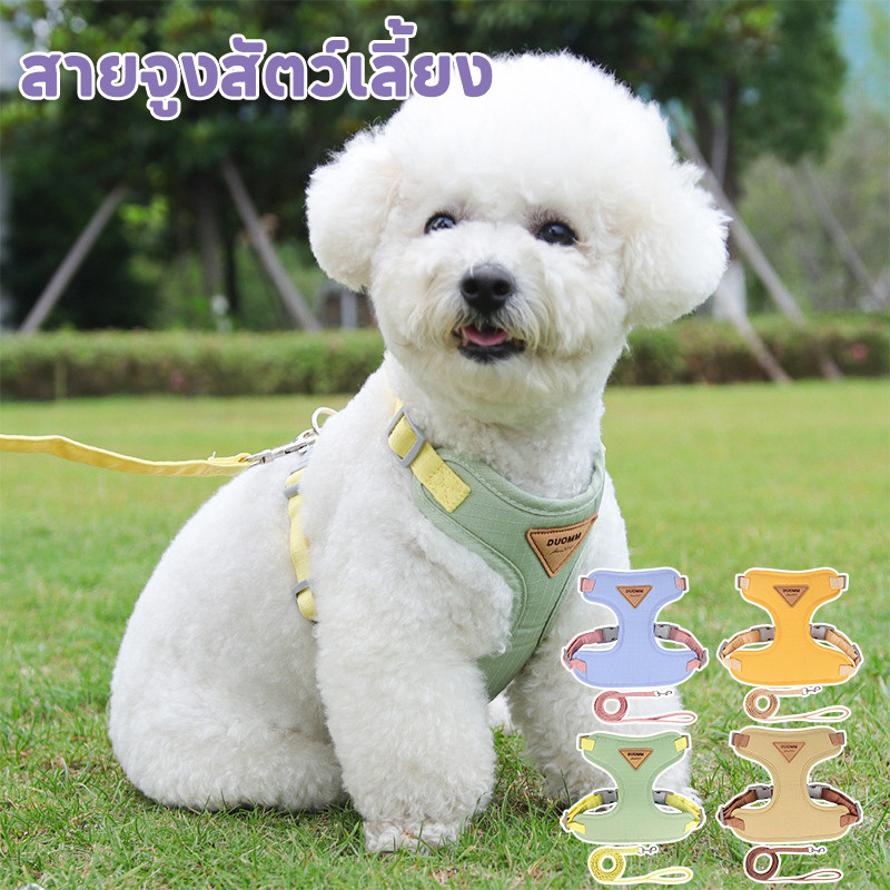 สายจูงสะท้อนแสงสำหรับสัตว์เลี้ยงกลางแจ้ง สุนัขและแมวสามารถใช้ได้