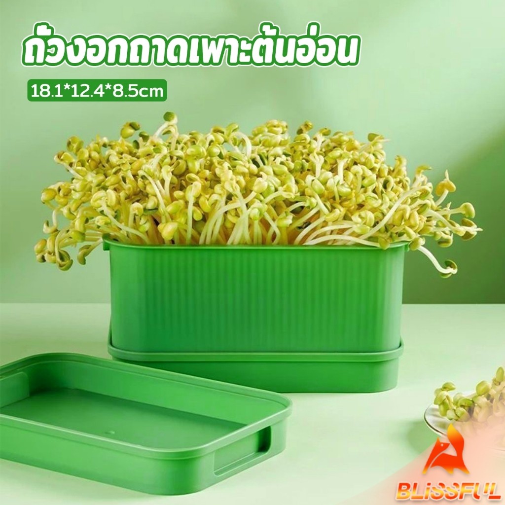 B.F กล่องเพาะถั่วงอก ถาดเพาะต้นอ่อน  ไม่ต้องใช้ดิน นำกลับมาใช้ใหม่ได้ 1ชุด bean sprouts tray