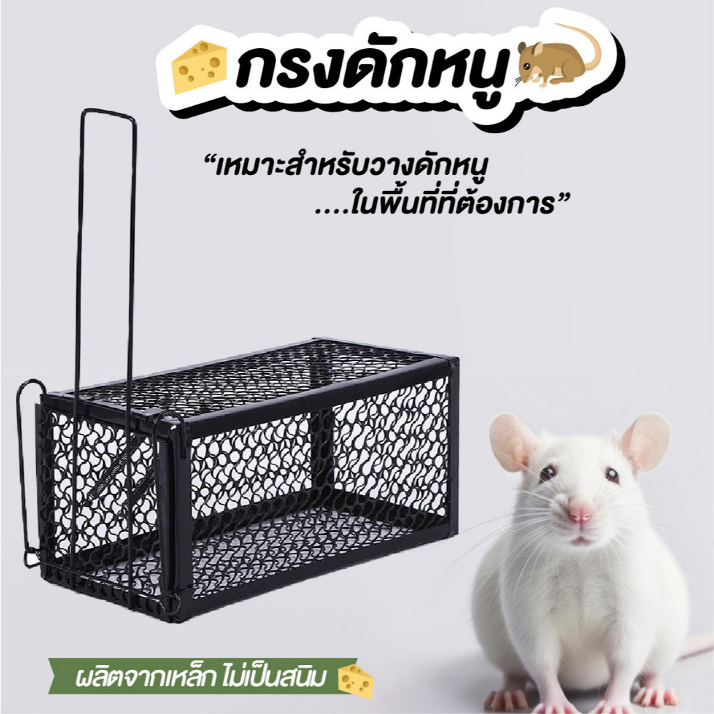 NiftyHome กรงดักหนู กรงดักหนูสปริง2ตัวโครงหนา แบบมีโครง กรงดักหนูสปริงคู่ กรงดักหนูนา กรงดักหนู