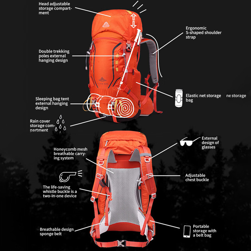 รูปภาพ 4