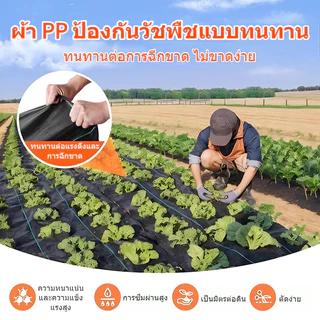 พลาสติกคลุมดิน(เกรด A) ผ้าคลุมดิน พลาสติกคลุมหญ้า ฆ่าหญ้า 50 เมตร 100 เมตร คลุมวัชพืช ผ้าคลุมหญ้า กําจัดหญ้า