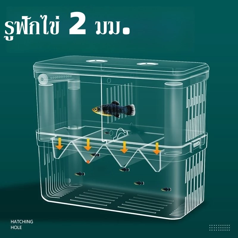 ตู้แยกปลาคลอดลูก กล่องแยกปลาป่วย 2 ช่อง 2 ขนาด สีใส thumbnail 6