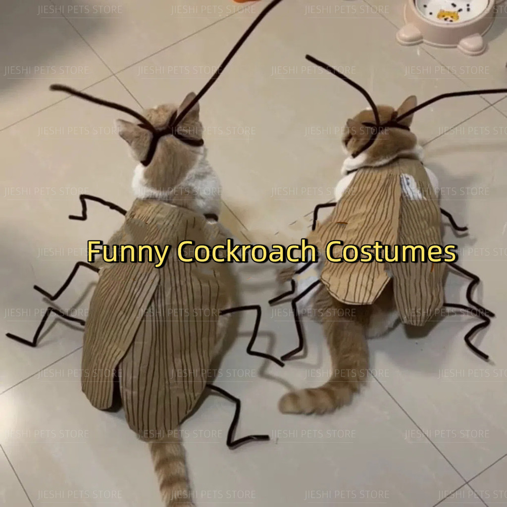 ตลกเสื้อผ้าสัตว์เลี้ยงล้อเลียนแมวการเปลี่ยนแปลงชุดแมลงสาบชุด ทําเอง แมวลายเสื้อผ้า