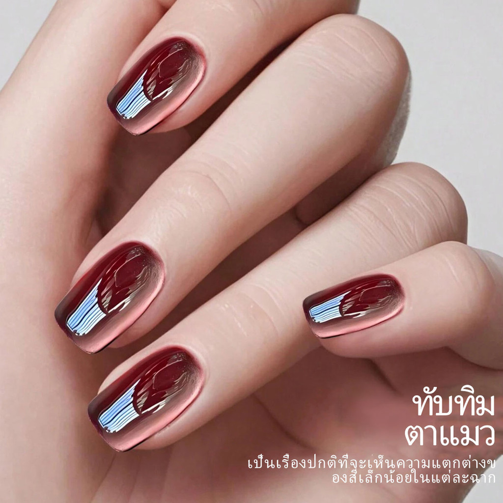 รูปภาพ 7