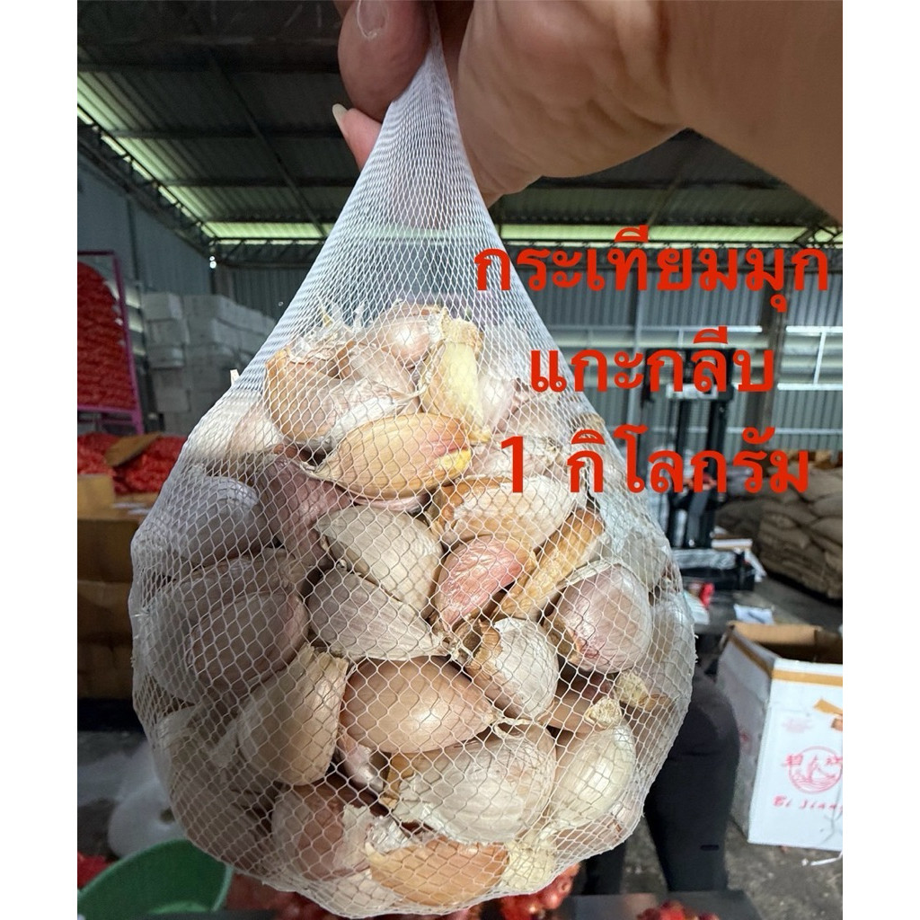 [1kg] 🧄 กระเทียมมุกแกะกลีบ ( ปองแกะ ) น้ำหนัก 1 kg.  คัดสวย สะอาด ไม่ฝ่อ ไม่รา คุณภาพดีเยี่ยม 🧄