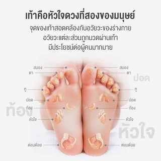 เครื่องนวดเท้า ร้อน acupoint อัตโนมัติ สะดวกสำหรับผู้สูงอายุ เครื่องนวดขาคุณภาพสูง