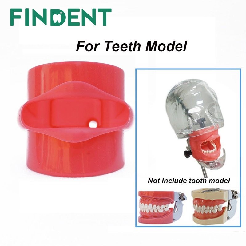Cheek Dental Phantom Head Teeth Model Silicone Mask Teaching Or Training Student Practicing