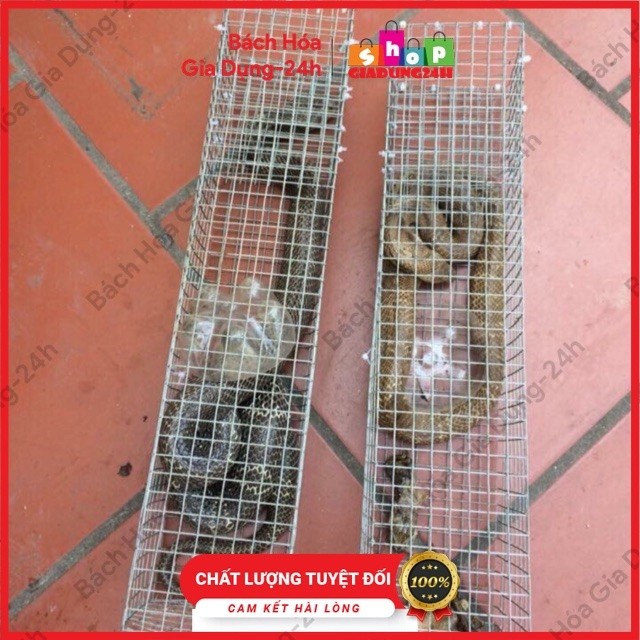 ที่มีประสิทธิภาพคุณภาพสูง STAINLESS ZINC SNAKE TRAP ทุกขนาด กรงดักงู กับดักงูที่บ้าน เรียบง่ายและปลอดภัย