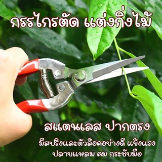 ZZ HOME01 กรรไกรตัดกิ่ง กรรไกรตัดดอกไม้ Pruning-shears-red