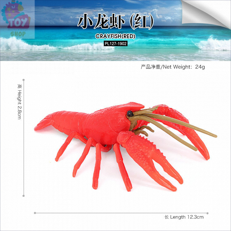 ของเล่นการศึกษาสำหรับเด็ก โมเดลล็อบสเตอร์จำลอง ของตกแต่ง ล็อบสเตอร์ขนาดใหญ่ อุปกรณ์ช่วยสอนสำหรับเด็ก - รูปที่ 5