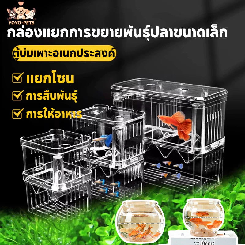 กล่องแยกปลาคลอดลูก 2 ช่อง มี 2 ขนาด
