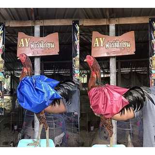 ผ้าคลุมปีกไก่ ผ้าคลุมปีกกันน้ำ ผ้าล่ม สีสุ่ม 360x150 มม. สำหรับไก่ชน ราคาต่อ 1 คู่