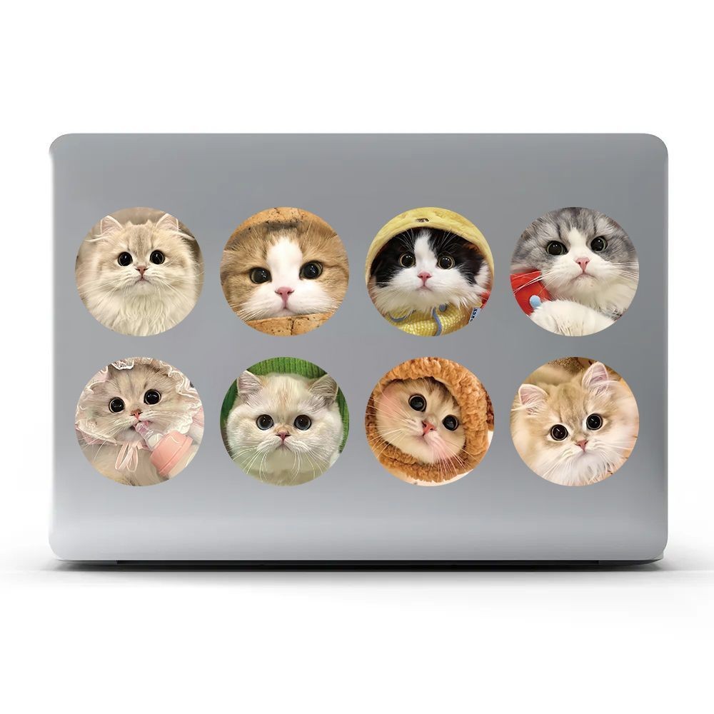 [ 500 ] สติ๊กเกอร์ใหม่น่ารัก หัวแมวม้วน สติ๊กเกอร์ หัวแมว หัวแมว ราคา ถูกที่สุด ดีลบีเคเค แกลเลอรีภาพที่ 8