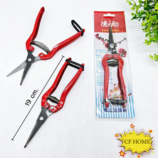 ZZ HOME01 กรรไกรตัดกิ่ง กรรไกรตัดดอกไม้ Pruning-shears-red