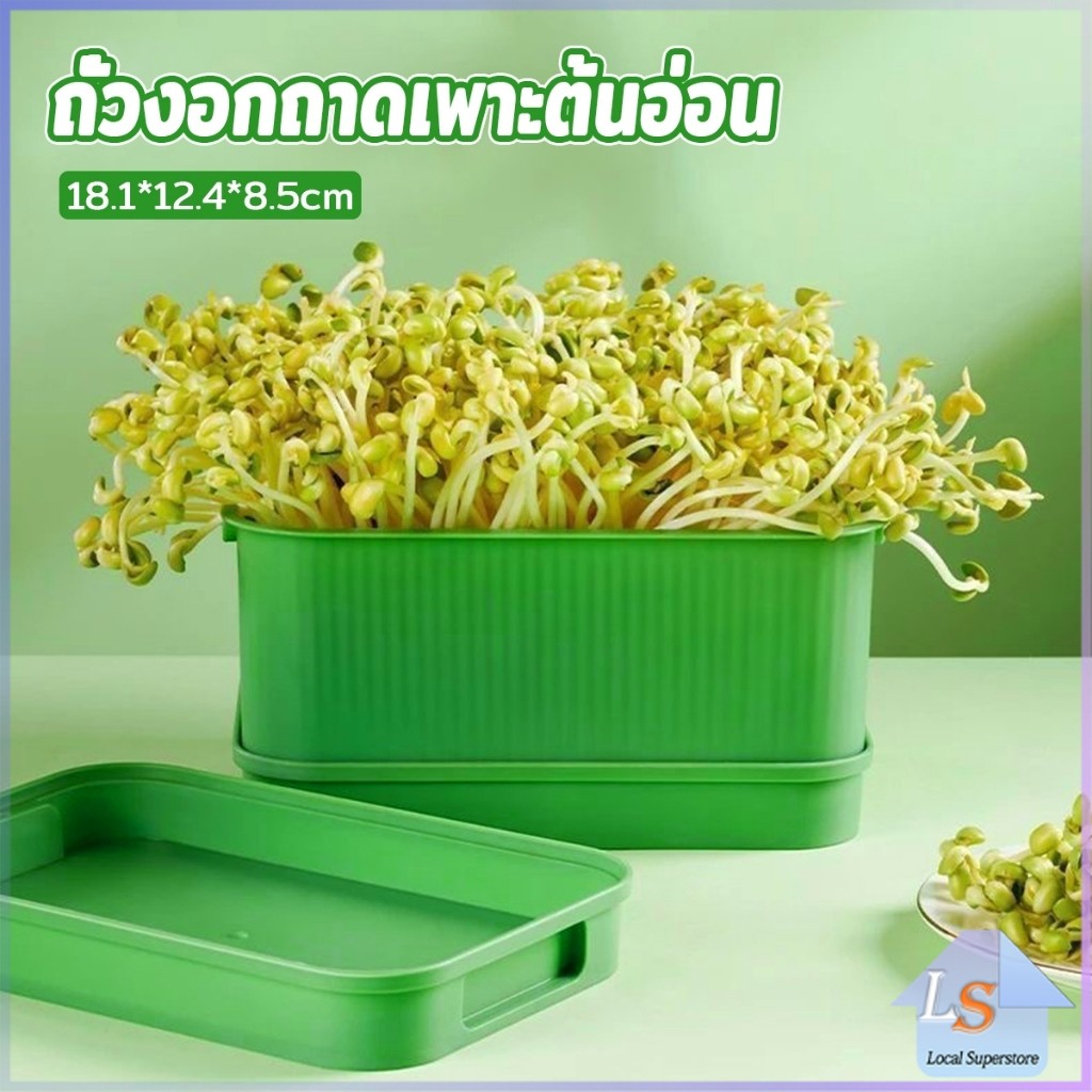กล่องเพาะถั่วงอก ถาดเพาะต้นอ่อน  ไม่ต้องใช้ดิน นำกลับมาใช้ใหม่ได้ 1ชุด bean sprouts tray