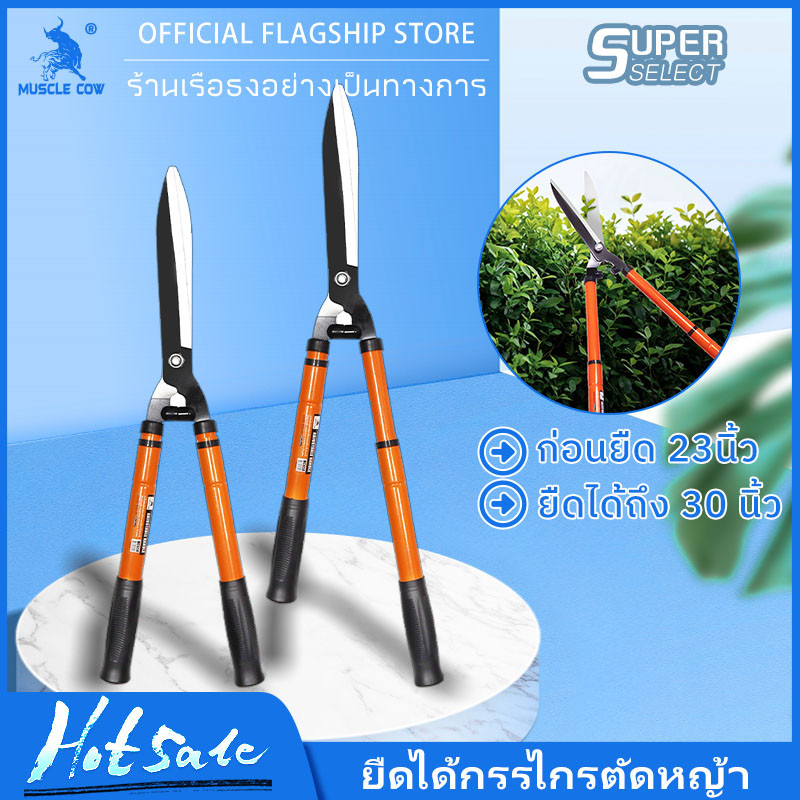 MUSCLE COW กรรไกรตัดหญ้า สามารถยืดได้หดได้ ด้ามเหล็กหุ้มพลาสติก เหมาะสำหรับตัดกิ่งที่สูง กรรไกรตัดกิ่ง กรรไกรตัดต้นไม้