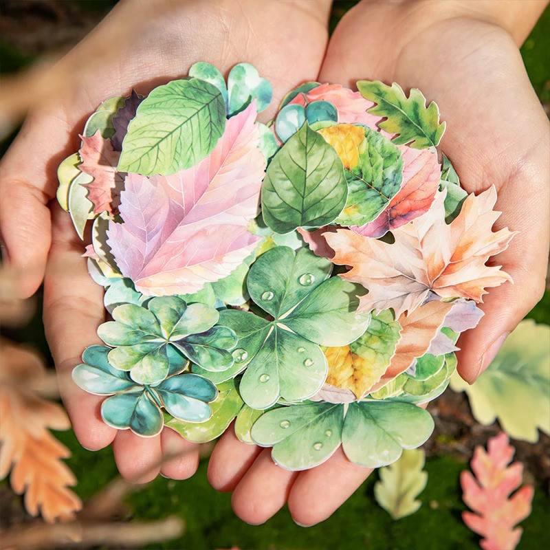 Journal GO 45pcs Creative Leaf PET สติกเกอร์ตกแต่ง Scrapbooking Collage Junk Journal Planner ตกแต่งใ