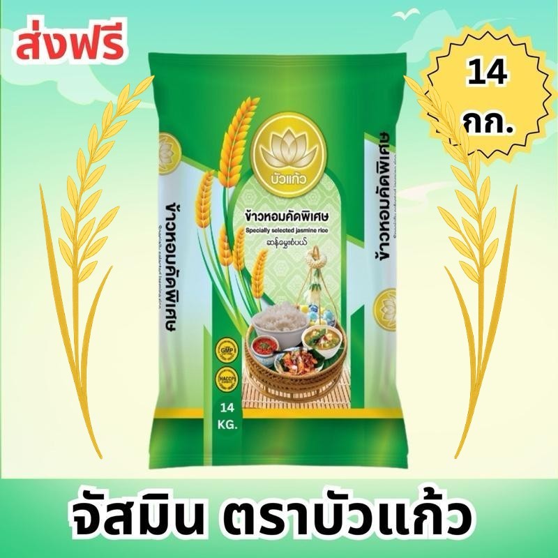 [ส่งฟรี] ข้าวจัสมิน ตรา บัวแก้ว สีเขียว 14 กิโลกรัม คุ้มค่า (FS) สูตรเม็ดท้องไข่