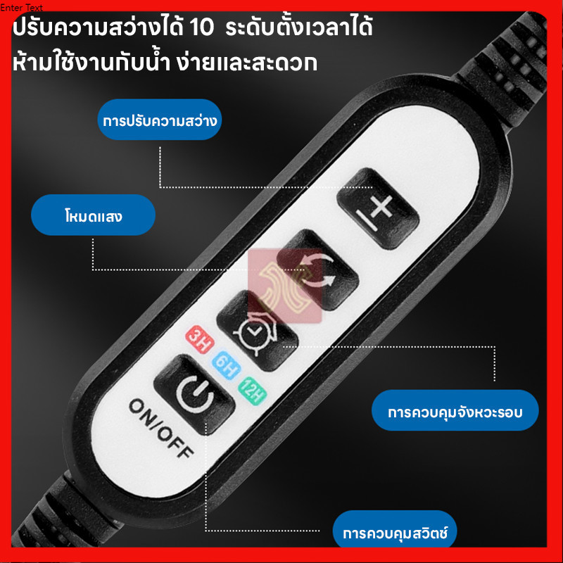 รูปภาพ 9