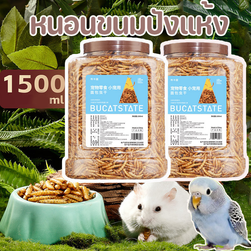 หนอนขนมปังแห้ง 1500ml อาหารหนูแฮมเตอร์ สัตว์เลี้ยงแมลงแห้ง หนอนนก หนอนแว๊กรำข้าวสาลีอบแห้ง