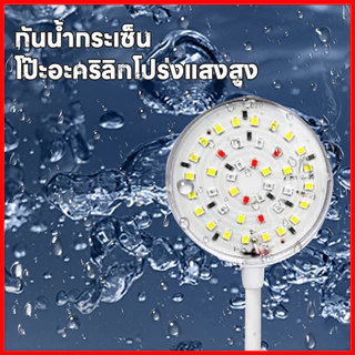 🎉【พร้อมส่งถูกที่สุด】โคมไฟตู้ปลา LED USB แคลมป์ไฟตู้ปลา ไฟตู้ปลา พิพิธภัณฑ์สัตว์น้ำ ไฟ Aquarium Light
