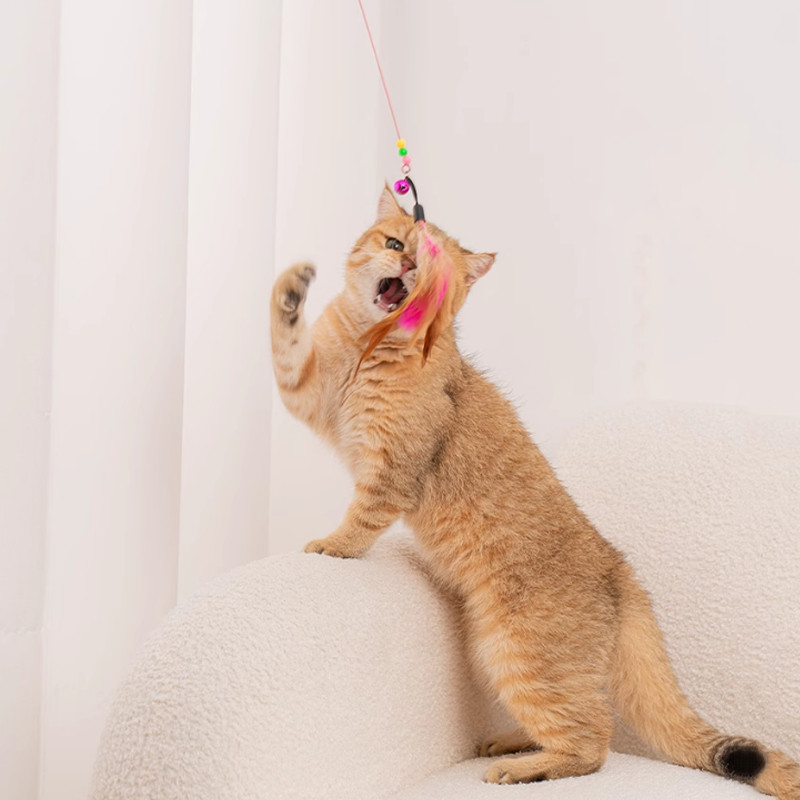 ของเล่นแมว ไม้แกล้งแมว ไม่หลุดง่าย มีกระดิ่ง เปลี่ยนขนได้ ล่อแมว ของเล่นแมว ของเล่นด้ามยาว เชือกแมว ไม้แกล้งแมว - รูปที่ 4