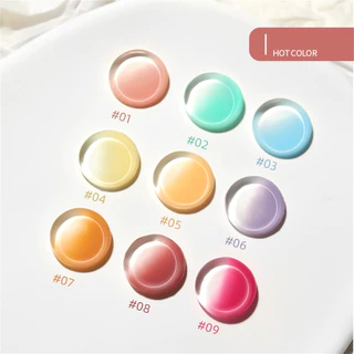 XEIJAYI สีทาเล็บตลับ สีเจลทาเล็บออมเบรไล่เฉดสีซัมเมอร์ สีเพ้นกระปุก 20สี เนื้อข้น