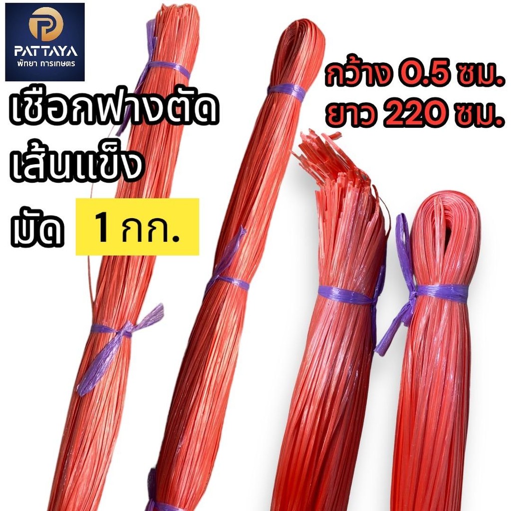 เชือกฟางตัด เส้นแข็ง ใบสีแดง ใบละ 1  kg.