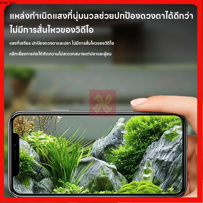 รูปภาพ 5