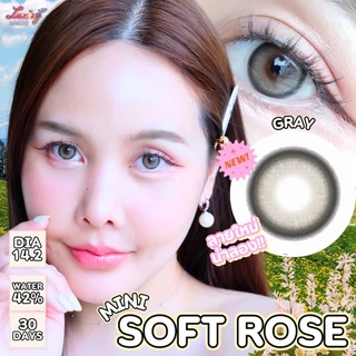รุ่นลิมิเต็ด คอนแทคเลนส์(มินิ) Mini Soft Rose Brown / Gray / Black (Luxzylens) ⭐️ลายฮิต ขายดีมาก กรองแสงกันยูวี